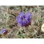 Zdjęcia użytkowników Huawei Mate Xs 2 Zdjęcia użytkowników Huawei Mate Xs 2