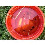 Zdjęcia użytkowników Huawei Mate Xs 2 Zdjęcia użytkowników Huawei Mate Xs 2