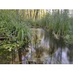 Zdjęcia użytkowników Huawei Mate Xs 2 Zdjęcia użytkowników Huawei Mate Xs 2