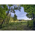 Zdjęcia użytkowników Huawei Mate Xs 2 Zdjęcia użytkowników Huawei Mate Xs 2