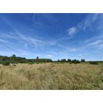 Zdjęcia użytkowników Huawei Mate Xs 2 Zdjęcia użytkowników Huawei Mate Xs 2