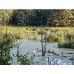 Zdjęcia użytkowników Huawei Mate Xs 2 Zdjęcia użytkowników Huawei Mate Xs 2