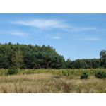 Zdjęcia użytkowników Huawei Mate Xs 2 Zdjęcia użytkowników Huawei Mate Xs 2