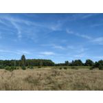 Zdjęcia użytkowników Huawei Mate Xs 2 Zdjęcia użytkowników Huawei Mate Xs 2