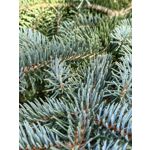 Zdjęcia użytkowników Huawei Mate Xs 2 Zdjęcia użytkowników Huawei Mate Xs 2