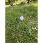 Zdjęcia użytkowników Huawei Mate Xs 2 Zdjęcia użytkowników Huawei Mate Xs 2