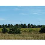 Zdjęcia użytkowników Huawei Mate Xs 2 Zdjęcia użytkowników Huawei Mate Xs 2