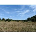 Zdjęcia użytkowników Huawei Mate Xs 2 Zdjęcia użytkowników Huawei Mate Xs 2