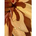 Zdjęcia użytkowników Huawei Mate Xs 2 Zdjęcia użytkowników Huawei Mate Xs 2