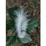 Zdjęcia użytkowników Huawei Mate Xs 2 Zdjęcia użytkowników Huawei Mate Xs 2