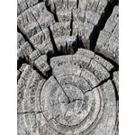 Zdjęcia użytkowników Huawei Mate Xs 2 Zdjęcia użytkowników Huawei Mate Xs 2