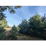 Zdjęcia użytkowników Huawei Mate Xs 2 Zdjęcia użytkowników Huawei Mate Xs 2