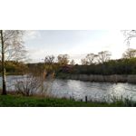 Zdjęcia użytkowników Huawei MediaPad M2 8.0