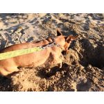 Zdjęcia użytkowników Huawei Nova 3