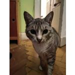 Zdjęcia użytkowników Huawei Nova 9 Zdjęcia użytkowników Huawei Nova 9