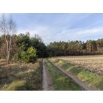 Zdjęcia użytkowników Huawei Nova 9 Zdjęcia użytkowników Huawei Nova 9