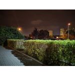 Zdjęcia użytkowników Huawei Nova 9 Zdjęcia użytkowników Huawei Nova 9