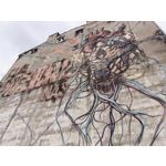 Zdjęcia użytkowników Huawei Nova 9 Zdjęcia użytkowników Huawei Nova 9