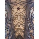 Zdjęcia użytkowników Huawei Nova 9 Zdjęcia użytkowników Huawei Nova 9