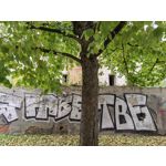 Zdjęcia użytkowników Huawei Nova 9 Zdjęcia użytkowników Huawei Nova 9