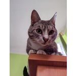 Zdjęcia użytkowników Huawei Nova 9 Zdjęcia użytkowników Huawei Nova 9