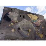 Zdjęcia użytkowników Huawei Nova 9 Zdjęcia użytkowników Huawei Nova 9