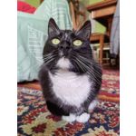 Zdjęcia użytkowników Huawei Nova 9 Zdjęcia użytkowników Huawei Nova 9