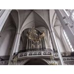 Zdjęcia użytkowników Huawei Nova 9 Zdjęcia użytkowników Huawei Nova 9