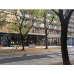 Zdjęcia użytkowników Huawei Nova 9 Zdjęcia użytkowników Huawei Nova 9