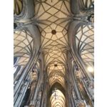 Zdjęcia użytkowników Huawei Nova 9 Zdjęcia użytkowników Huawei Nova 9