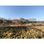 Zdjęcia użytkowników Huawei Nova 9 Zdjęcia użytkowników Huawei Nova 9