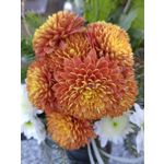 Zdjęcia użytkowników Huawei Nova 9 Zdjęcia użytkowników Huawei Nova 9