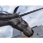 Zdjęcia użytkowników Huawei Nova 9 Zdjęcia użytkowników Huawei Nova 9