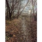 Zdjęcia użytkowników Huawei Nova 9 Zdjęcia użytkowników Huawei Nova 9