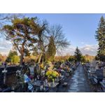 Zdjęcia użytkowników Huawei Nova 9 Zdjęcia użytkowników Huawei Nova 9