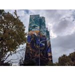 Zdjęcia użytkowników Huawei Nova 9 Zdjęcia użytkowników Huawei Nova 9