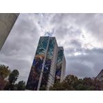 Zdjęcia użytkowników Huawei Nova 9 Zdjęcia użytkowników Huawei Nova 9