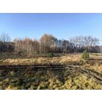 Zdjęcia użytkowników Huawei Nova 9 Zdjęcia użytkowników Huawei Nova 9