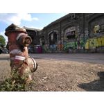 Zdjęcia użytkowników Huawei Nova Plus Zdjęcia użytkowników Huawei Nova Plus