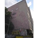 Zdjęcia użytkowników Huawei Nova Plus Zdjęcia użytkowników Huawei Nova Plus