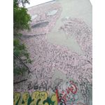 Zdjęcia użytkowników Huawei Nova Plus Zdjęcia użytkowników Huawei Nova Plus