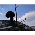 Zdjęcia użytkowników Huawei Nova Plus Zdjęcia użytkowników Huawei Nova Plus