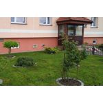 Zdjęcia użytkowników Huawei Nova