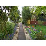 ZDJĘCIA Z TEGO TELEFONU