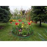 ZDJĘCIA Z TEGO TELEFONU