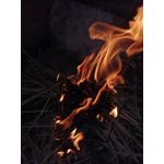 Zdjęcia użytkowników Huawei P Smart 2019