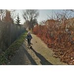 Zdjęcia użytkowników Huawei P Smart Pro