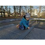 Zdjęcia użytkowników Huawei P Smart Pro