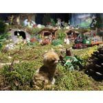 Zdjęcia użytkowników Huawei P Smart Pro