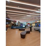 Zdjęcia użytkowników Huawei P Smart Pro